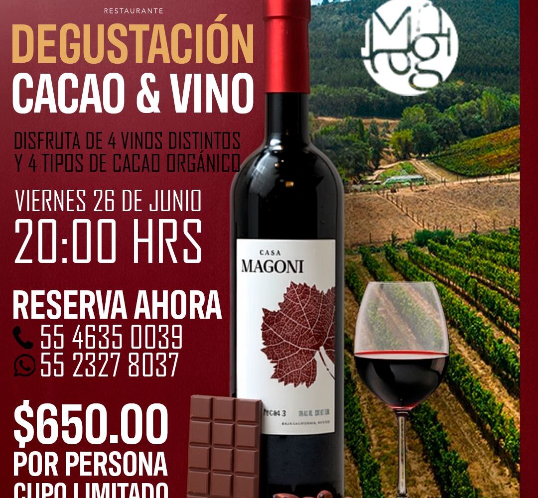 Degustación Cacao y vino