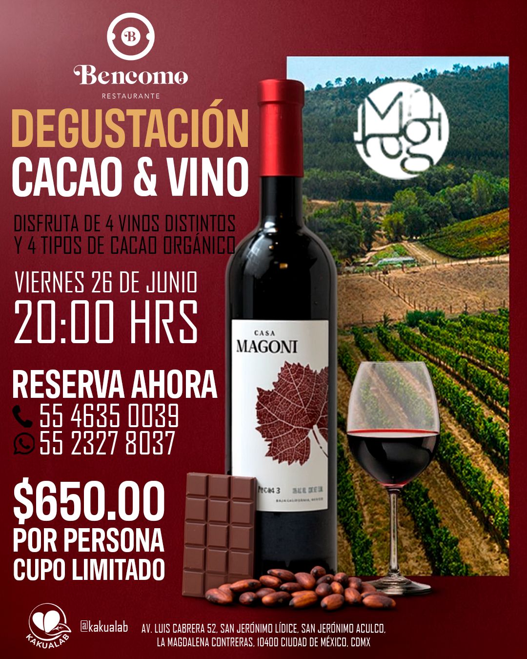 Degustación Cacao y vino